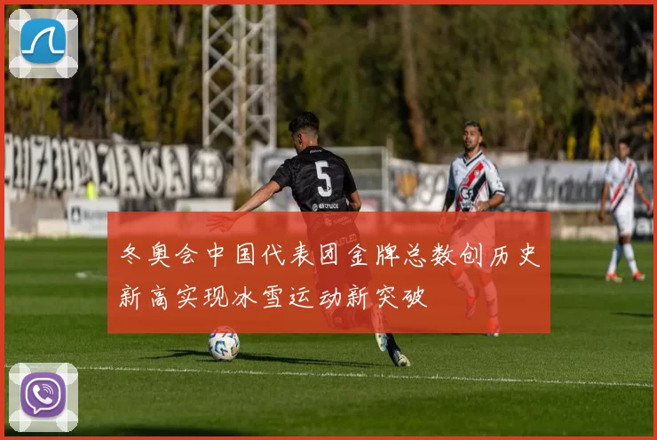 冬奥会中国代表团金牌总数创历史新高实现冰雪运动新突破