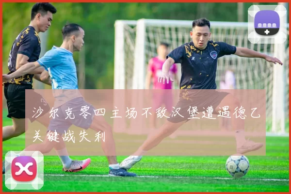 沙尔克零四主场不敌汉堡遭遇德乙关键战失利