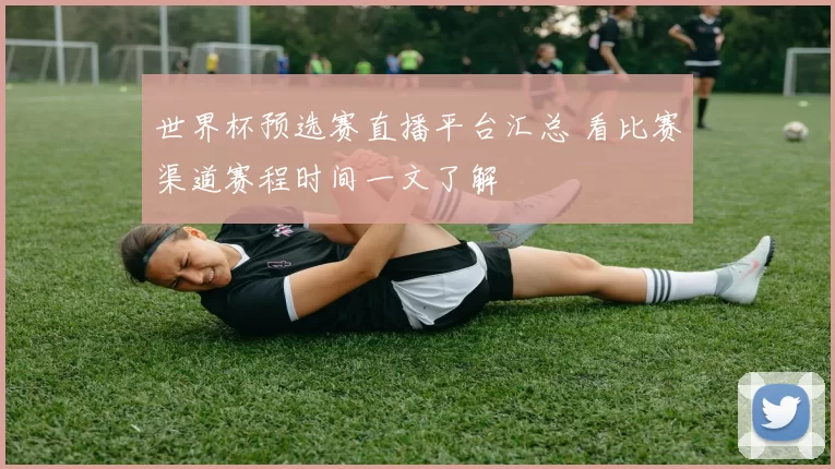 世界杯预选赛直播平台汇总 看比赛渠道赛程时间一文了解