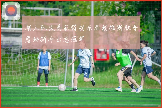 湖人队交易获得安东尼戴维斯联手詹姆斯冲击总冠军