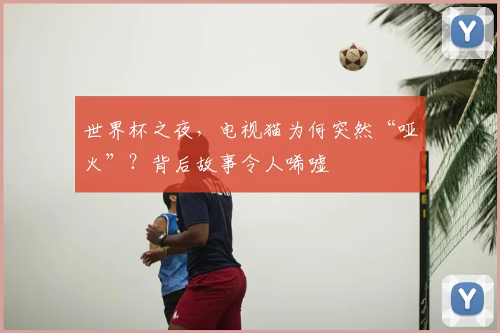 世界杯之夜，电视猫为何突然“哑火”？背后故事令人唏嘘